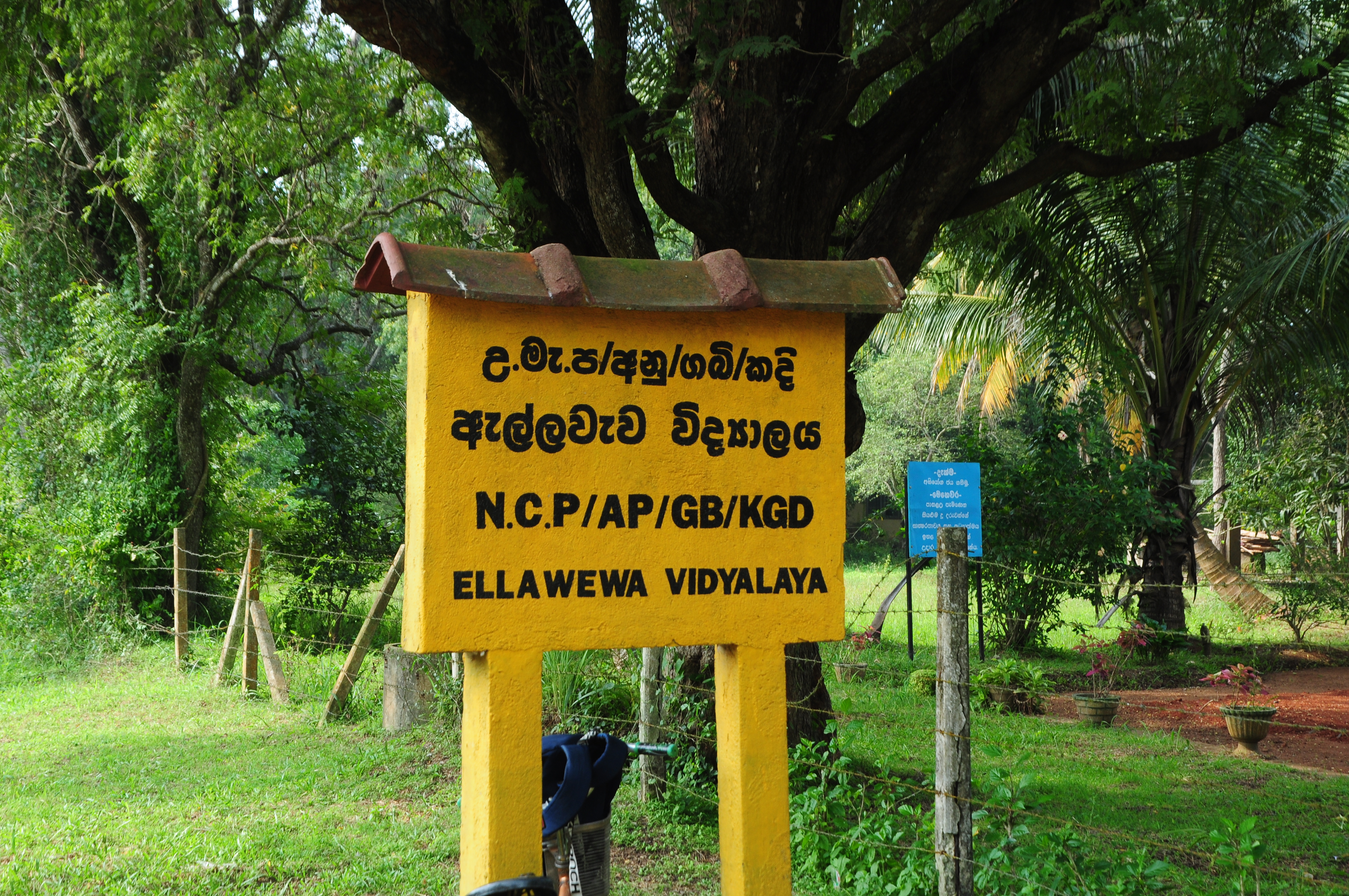 Donation of Hope: Ellawewa School- Kahatagasdigiliya